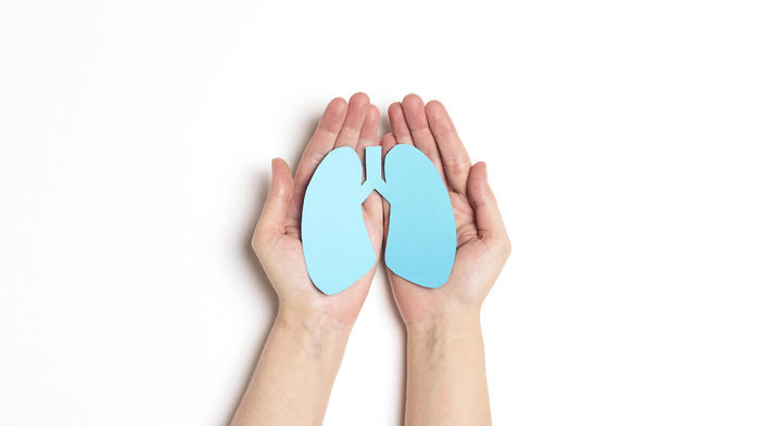 Bild: AdobeStock / WindyNight